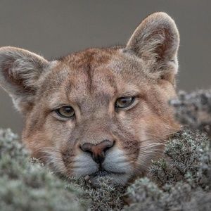 Meet your Posher, Jim